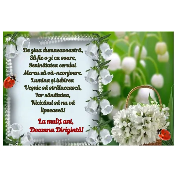 Felicitare magnet