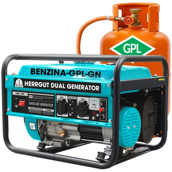 Generator curent electric Herrgut