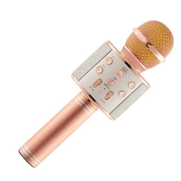 Microfon Karaoke de copii Wireless RLN Electronics