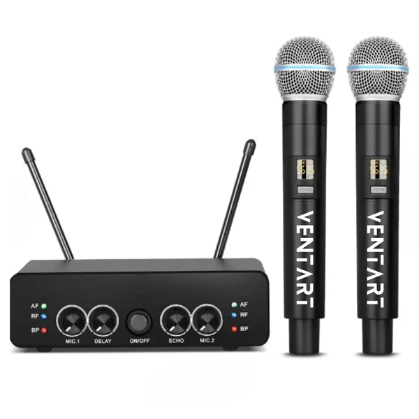 Set 2 Microfoane Wireless Profesionale
