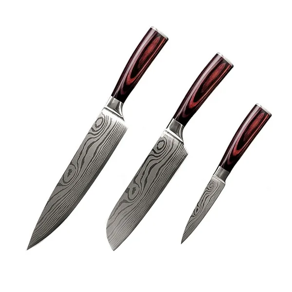 Set 3 cutite profesionale Hocho